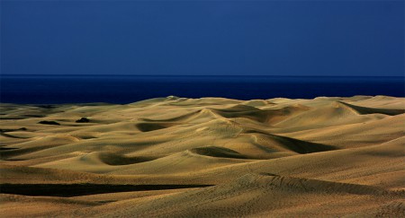 Sivatag / Desert